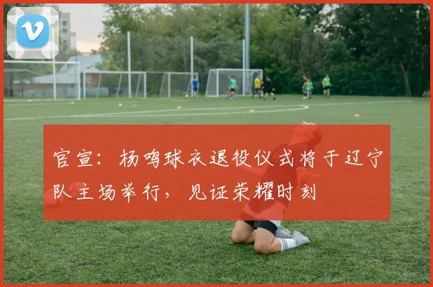 官宣:杨鸣球衣退役仪式将于辽宁队主场举行,见证荣耀时刻