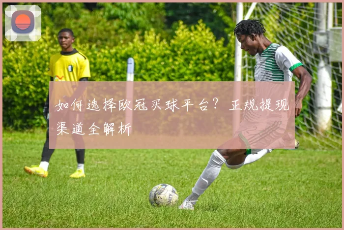 如何选择欧冠买球平台?正规提现渠道全解析