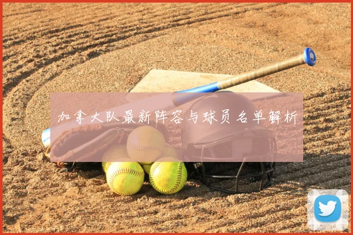 加拿大队最新阵容与球员名单解析